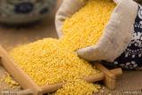 黄河小米 养胃养生小米 熬粥小米 小黄米 非转基因 黏糊米汤