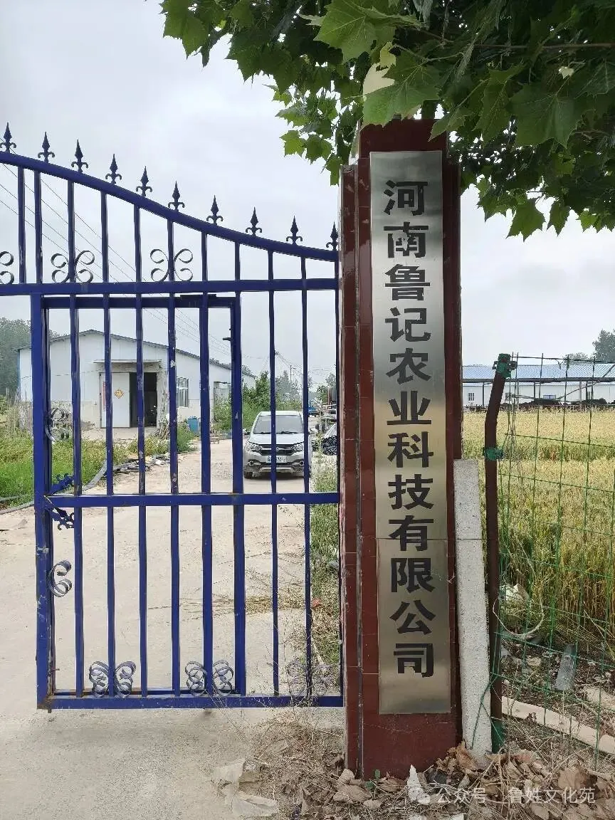 文章附图