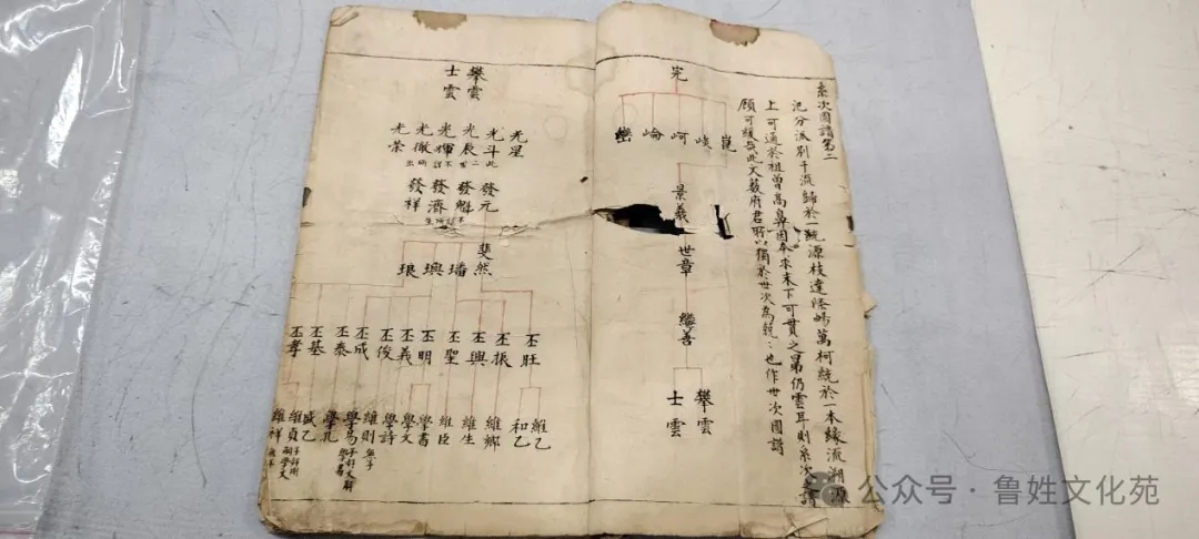 文章附图